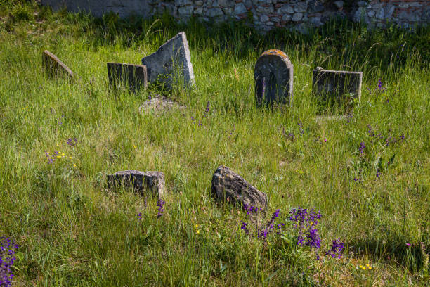 View Through Trees of the sunlit Graveyard of Saint Mary’s Church in Henley on Thames Oxfordshire England.
