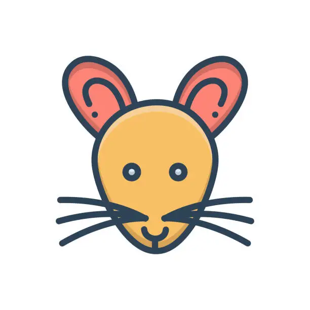 Vector illustration of Rat mouse