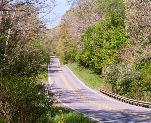 istock US Route 62 in the woods 1227063356