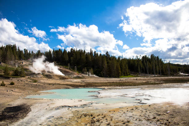 istock Norris in the Yellowstone National Park 1227064124