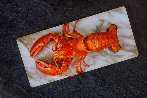 Boiled lobster on fine selection of crustacean for dinner on a dark plate