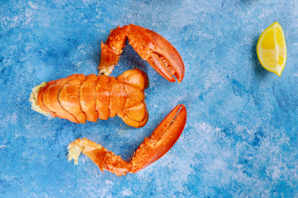 istock Tasty seafood served on table with boiled lobster dinner 1227071840