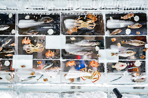 Fish, crab and other sea animals frozen in blocks of ice.