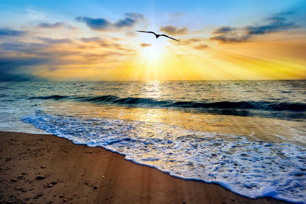 istock Divine Soul Journey Baptism 1227073853