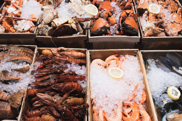 istock Carb, prawn, crayfish, mantis shrimp and mussel on ice 1227075316