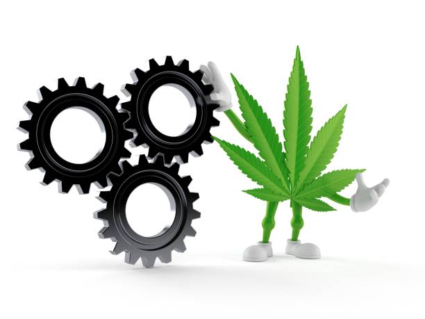 istock Cannabis character with gear wheels 1227075376