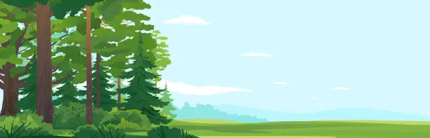 Vector illustration of Woodland edge nature landscape background