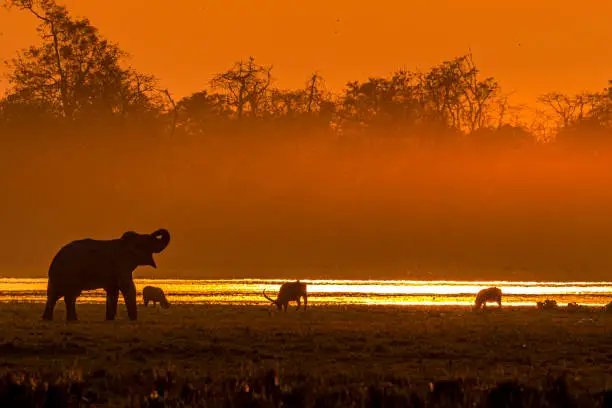 Photo of Sunset in the Wild....