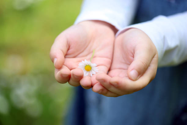 istock daisy in the hand of a child 1227082911