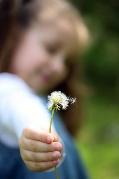 istock Little girl playing with dandelions on meadow 1227082917