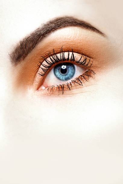 istock Close up of eye and makeup 1227084111