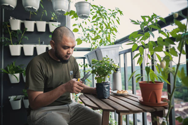 istock Home gardening at balcony 1227084624