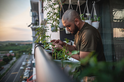 Home gardening at balcony