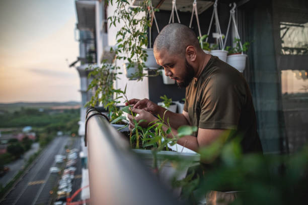 Home gardening at balcony Home gardening at balcony balcony stock pictures, royalty-free photos & images