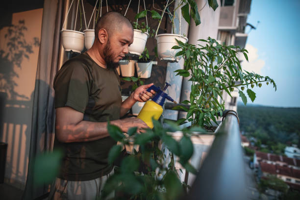istock Home gardening at balcony 1227085232