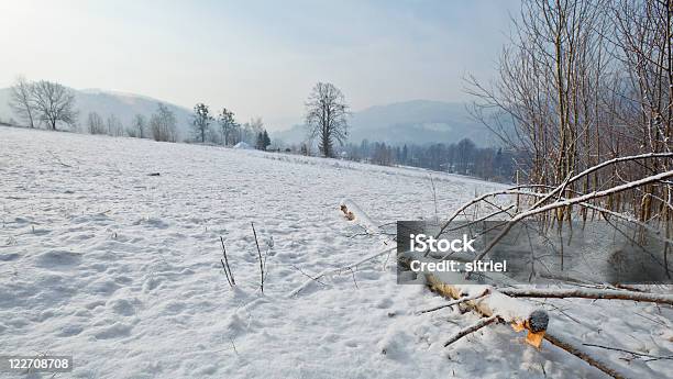 Zima Panorama - zdjęcia stockowe i więcej obrazów Bez ludzi - Bez ludzi, Biały, Drzewo