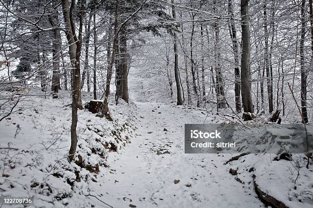 Zima Ścieżka - zdjęcia stockowe i więcej obrazów Bez ludzi - Bez ludzi, Biały, Droga jednopasmowa