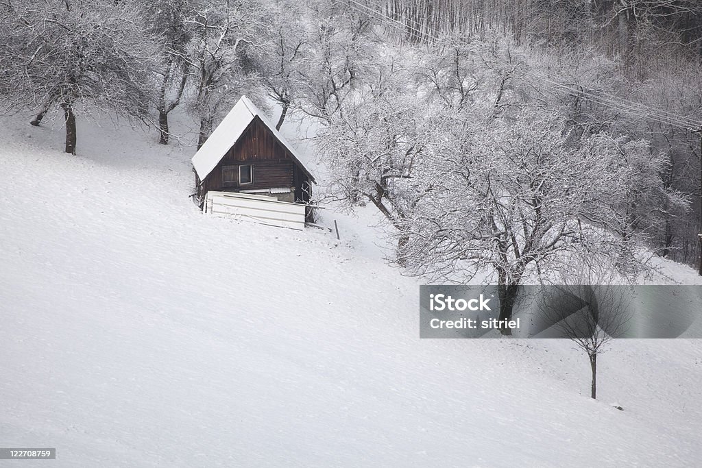Drewniany dom w górach - Zbiór zdjęć royalty-free (Bez ludzi)