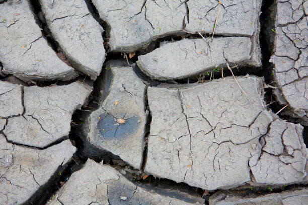 détail d’une terre fissurée, la terre de crack, le sol de fissure, le réchauffement climatique - global warming cracked dirt earth photos et images de collection