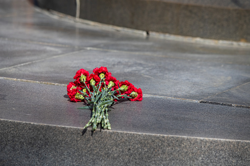 Red carnations on a gray granite slab
