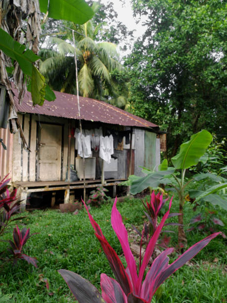 istock traditional house in costa rica 122709100