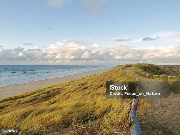 近くのビーチの小道 - オランダのストックフォトや画像を多数ご用意 - オランダ, 砂丘, 海