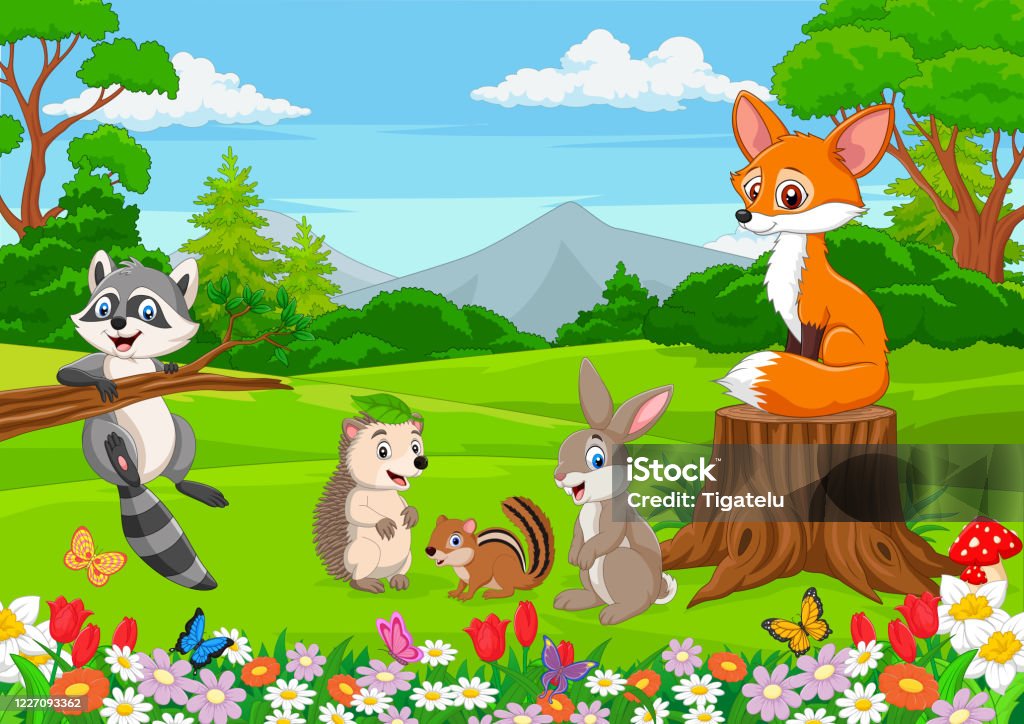 Cartoon Wild Animals In The Jungle Stock Illustration - Download Image Now  - Rabbit - Animal, Cartoon, Forest - iStock