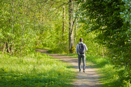 Un joven con mochila caminando por un sendero natural en el bosque. Pasar tiempo solo en el hermoso y soleado día de primavera. Vista trasera. photo