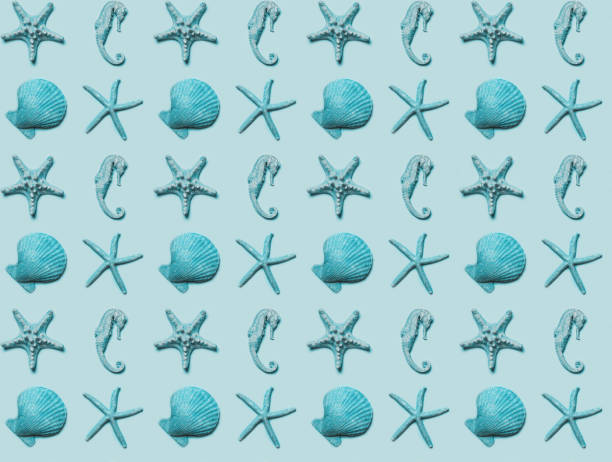 Collection of different seashells, seamless pattern of turquoise shells on blue color background, summer vacation concept.