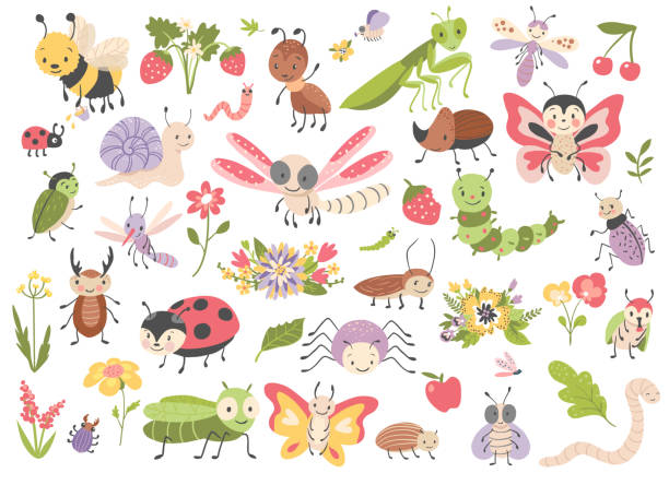 illustrazioni stock, clip art, cartoni animati e icone di tendenza di simpatici insetti dei cartoni animati. - rhinoceros beetles