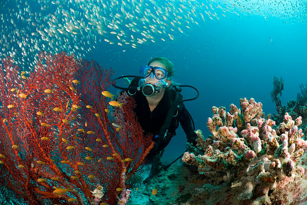 istock diver surrounded by fish and coral reef 122709967