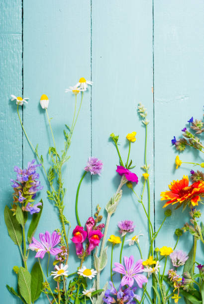 istock Flowers on old wood table 1227101724