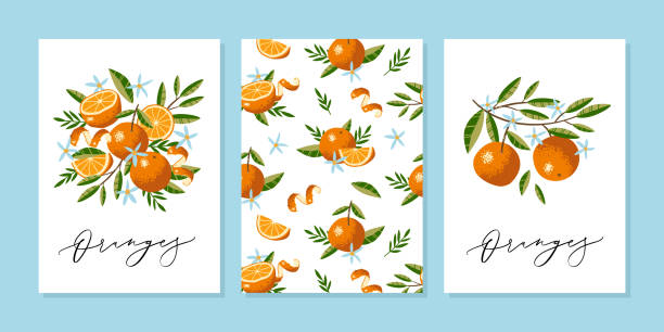 wektorowa kartka z życzeniami lub szablon zaproszenia ślubne z pomarańczy, kwiaty i liście w ręcznie rysowane stylu z wektora kaligrafii tekstu. - citrus fruit illustrations stock illustrations