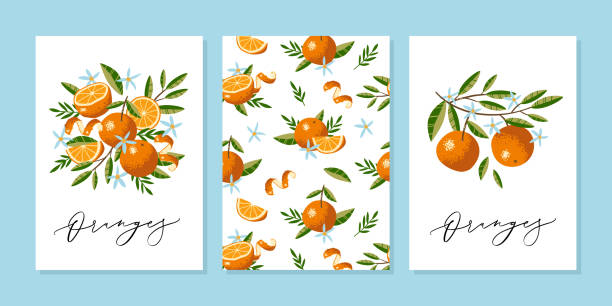 векторная поздравительная открытка или шаблон приглашения на свадьбу с оранжевыми, цветами и листьями в стиле ручной работы с вектором кал - fruit orange citrus fruit food stock illustrations