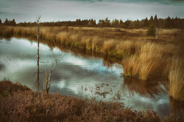 istock High Venn in the Eifel in Belgium and Germany 1227105165