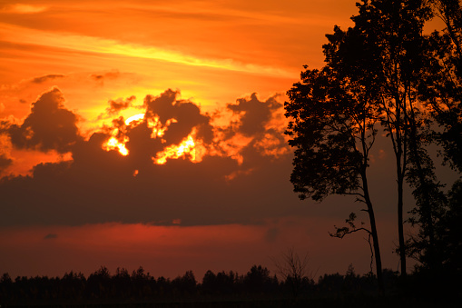 Beautiful sunset with the sun behind the clouds in the orange sky with tree silhouettes in the foreground.