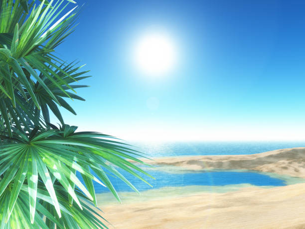 istock 3D tropical beach scene with palm trees 1227109960