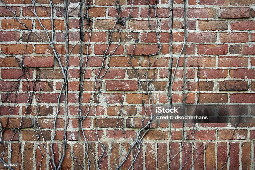 Vid-pared de ladrillos cubierto - Foto de stock de Abstracto libre de derechos