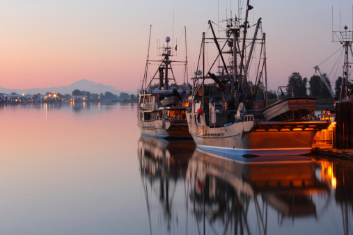 Dawn at the marina in Steveston Harbor, British Columbia, Canada where the commercial fishing fleet waits for the fishing season to open. Located at the mouth of the Fraser River near Vancouver.