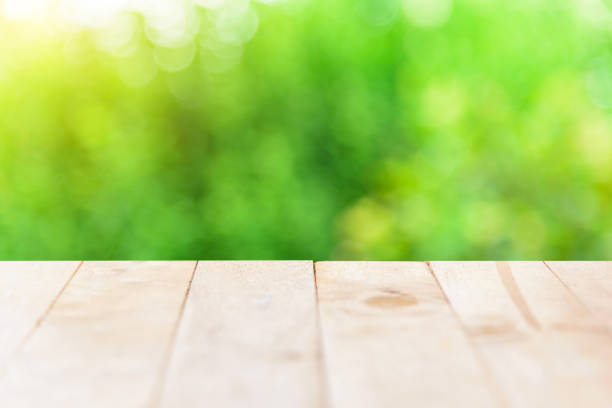 istock wood plate copy space with green bokeh foreground 1227115311
