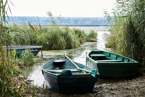 Two wooden boats, painted in green, moored at the lake bank. Natural landscape with green trees and lake covered with algae and cane. Fishing boats on pond.