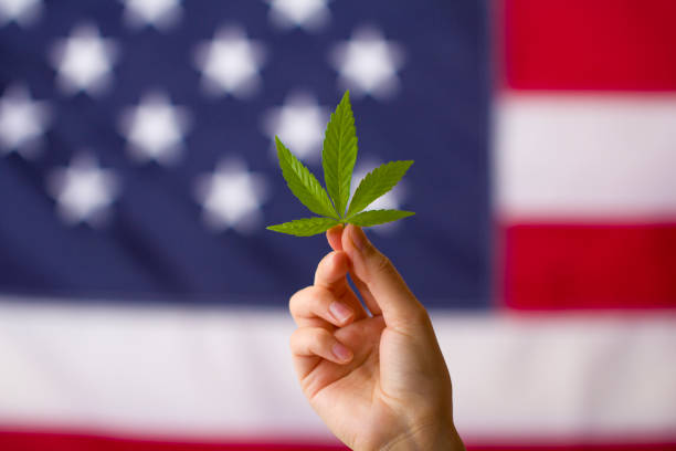 légalisation du cannabis aux états-unis d’amérique. feuille de cannabis dans les mains sur le fond de drapeau d’usa - haschisch photos et images de collection