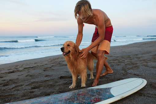 Surfer. Surfing Man Playing With Dog Near White Surfboard On Sandy Beach. Beautiful Ocean With Waves, Shore With Footprints.