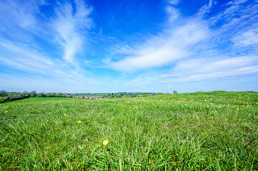 Summer landscape with grass field and sky