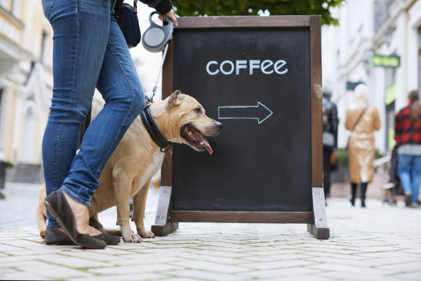 donna, cane e caffè - starbucks women walking restaurant foto e immagini stock