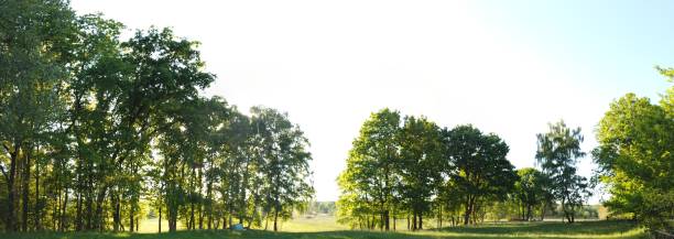 istock panoramic Environment freshness at village with clouds and natural elements around 1227126833