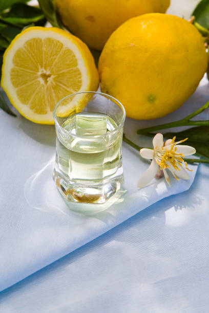 bevanda limoncello - fruit liqueur foto e immagini stock