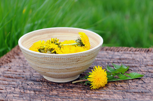 Bowl with flowerheads of dandelion.