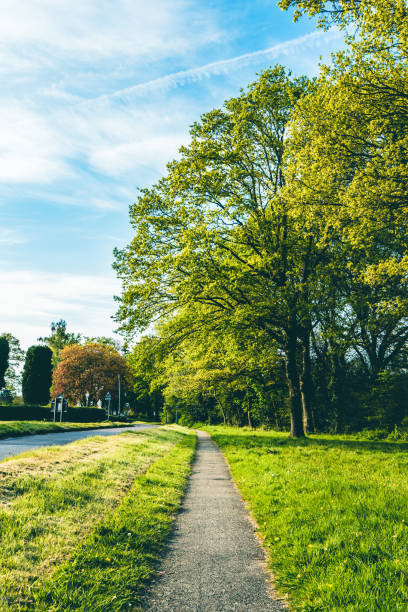istock road in green field and mountains 1227131220