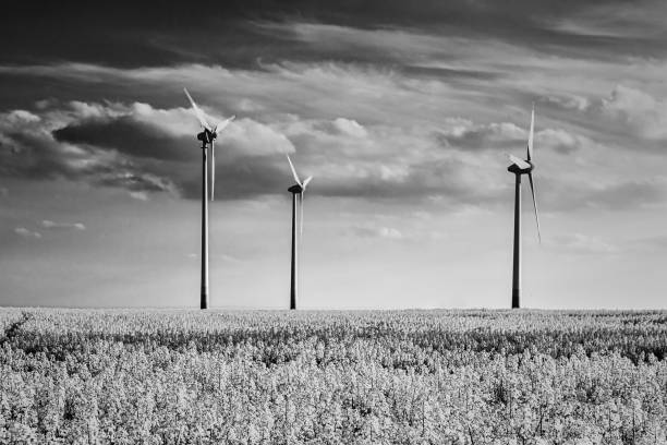 istock Wind farm surrounded by blooming rapeseed. 1227132864